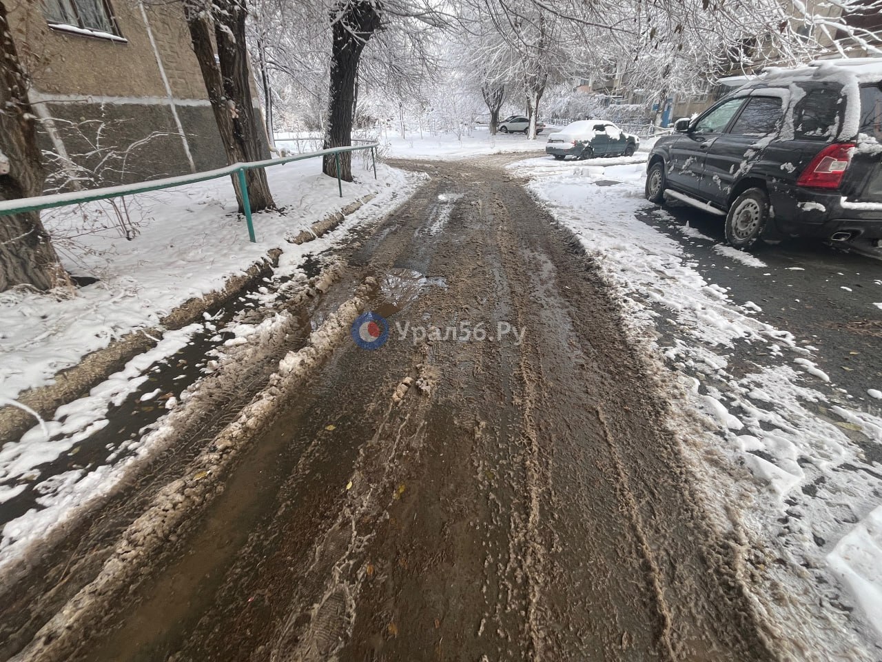 Слякоть во дворе Орска, 6.11.2024