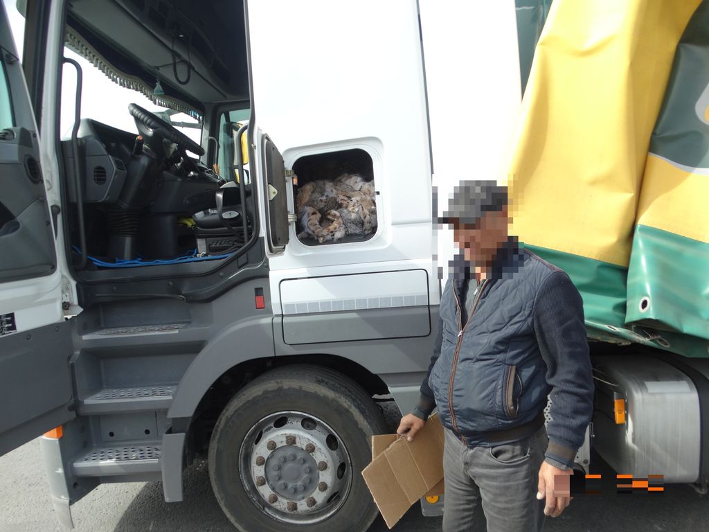 Контрабандная продукция и водитель грузовика. Фото: Пограничное управление ФСБ России по Оренбургской области