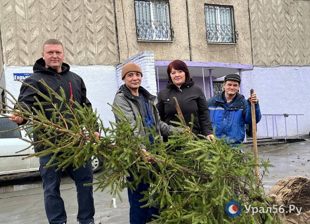 Высадили деревья 17 ноября в Орске