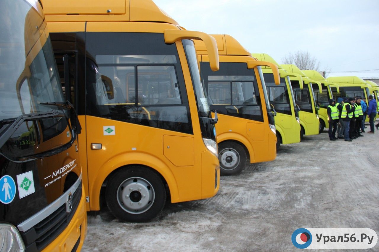 Новый автобусы, которые приобрел перевозчик