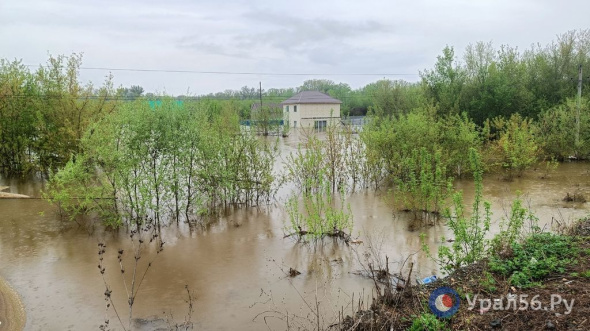 Почти 5 млрд рублей выплачено жителям Оренбургской области, пострадавшим от паводка