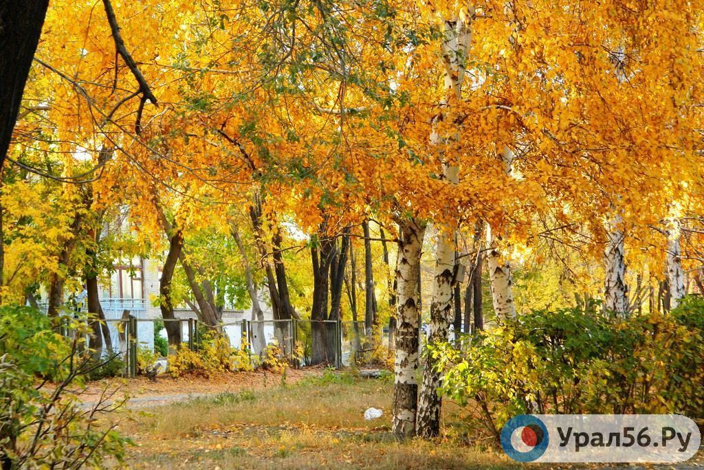 Какая погода ожидается сегодня в Оренбурге и Орске?
