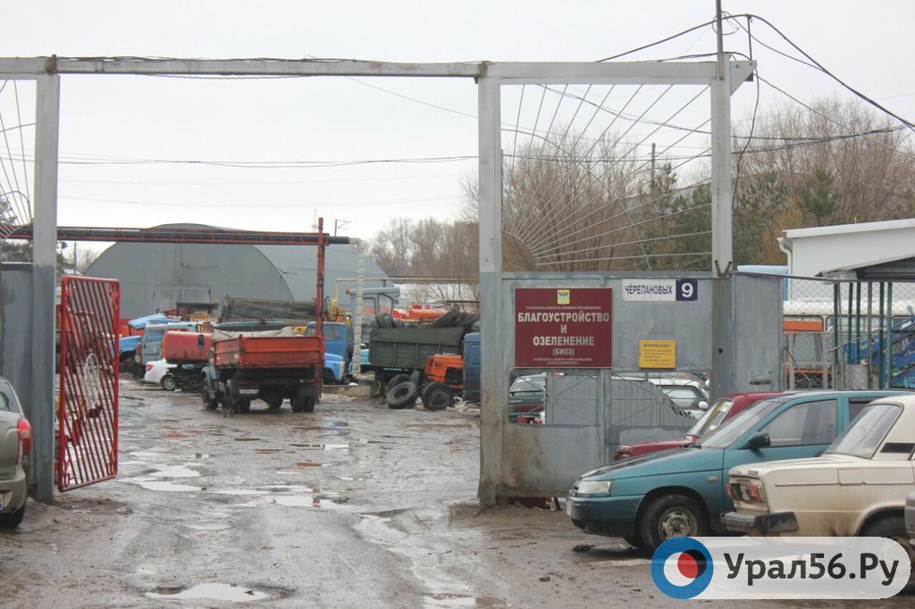 Возле предприятия «Благоустройство и Озеленение» в Оренбурге, весна 2017 года