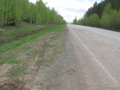 В Оренбургской области обнаружили труп жителя Казани, завернутый в одеяло и обмотанный скотчем