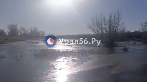 Орь в районе Ащебутака, 25.03.2025