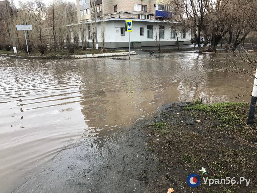 На улице Щорса 9.04.2024