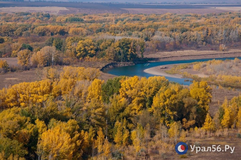 Леса в Сакмарском районе, река Сакмара