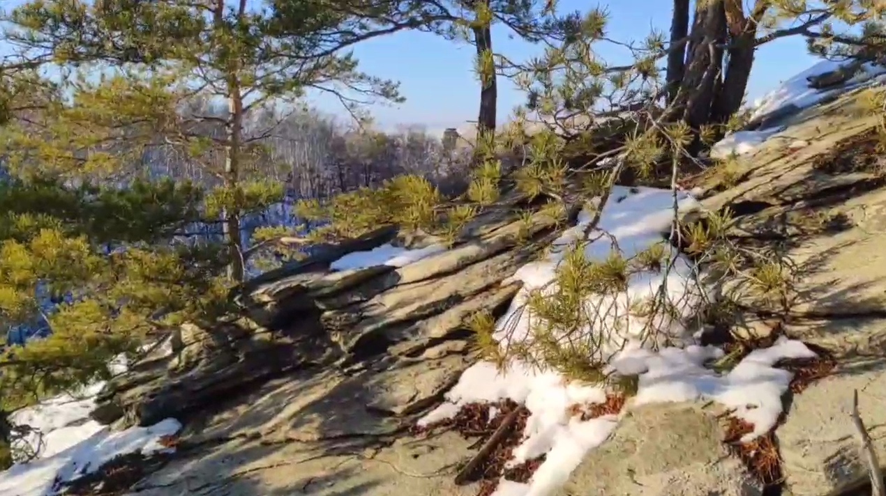 Стоп карды из видео А.Камалутдинова, тг-канал Окувандык