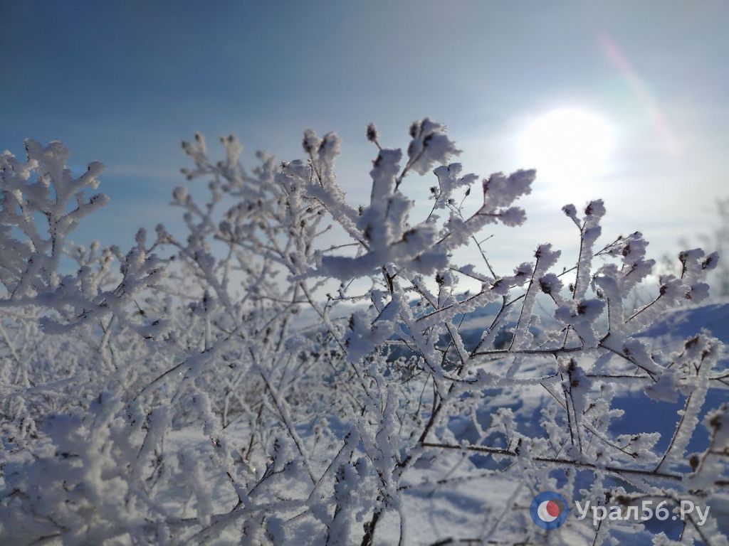 Зимняя природа Оренбургской области