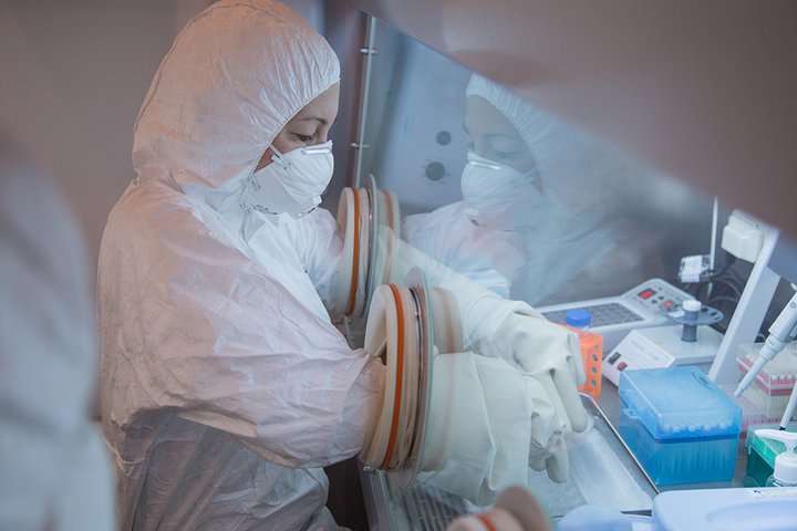 Так проводятся исследования анализов на коронавирус