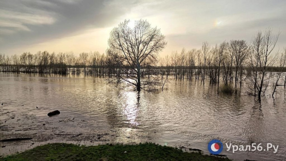 Урал в Оренбурге растет, в Орске падает. Серьезно поднялись Самара, Салмыш и Б.Кинель