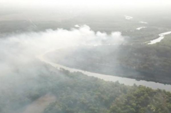 Пожар в селе в Самарской области перекинулся на национальный парк «Бузулукский бор» (видео)