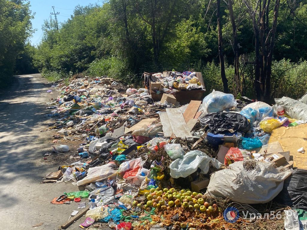 Мусорная свалка в районе ул. Базарной в Орске летом 2025 года