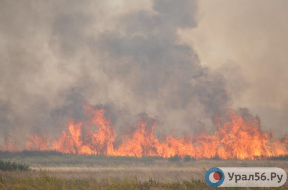 В Адамовском районе из-за солнечных лучей произошло два степных пожара