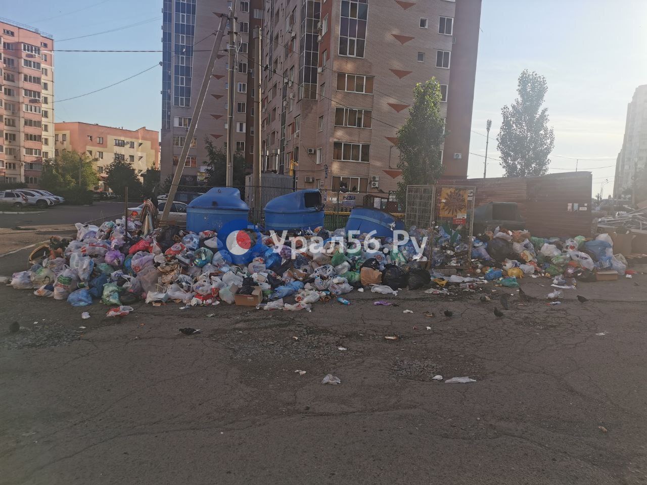 Мусорная площадка на ул. Есимова