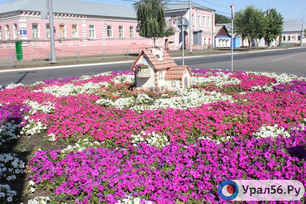 В Оренбурге в 2018 году высадят более 1 миллиона цветов