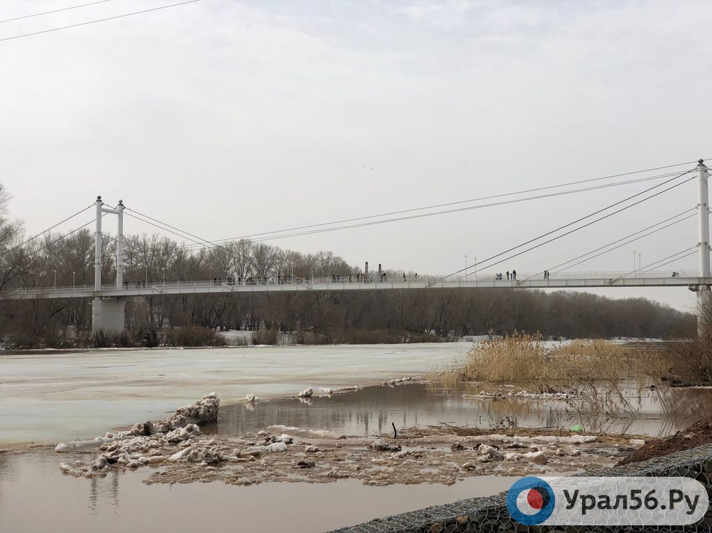 Какой уровень воды в урале город оренбург