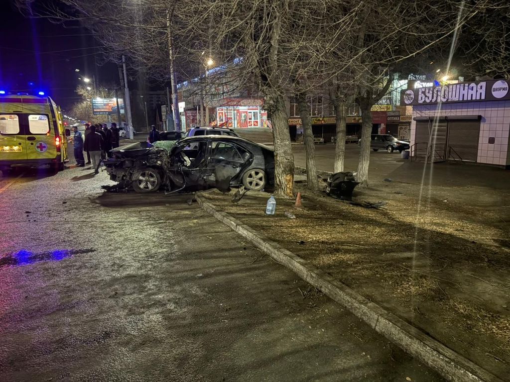 Toyota Camry врезалась в дерево, фото: Госавтоинспекция Орска