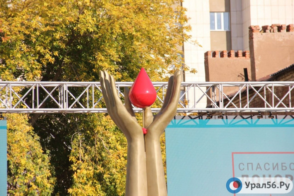 «Долой «руки» с исторического места»: Председатель регионального отделения ВООПИК раскритиковала памятник донорам в Оренбурге 