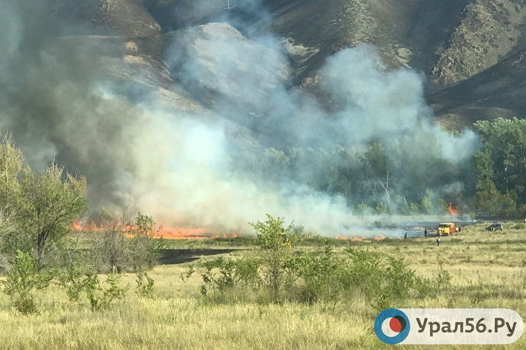 Степной пожар под Новотроицком, 29 июня 2019 г.
