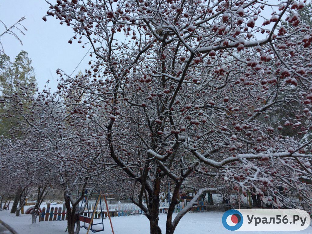 Орск осенью 2017 года