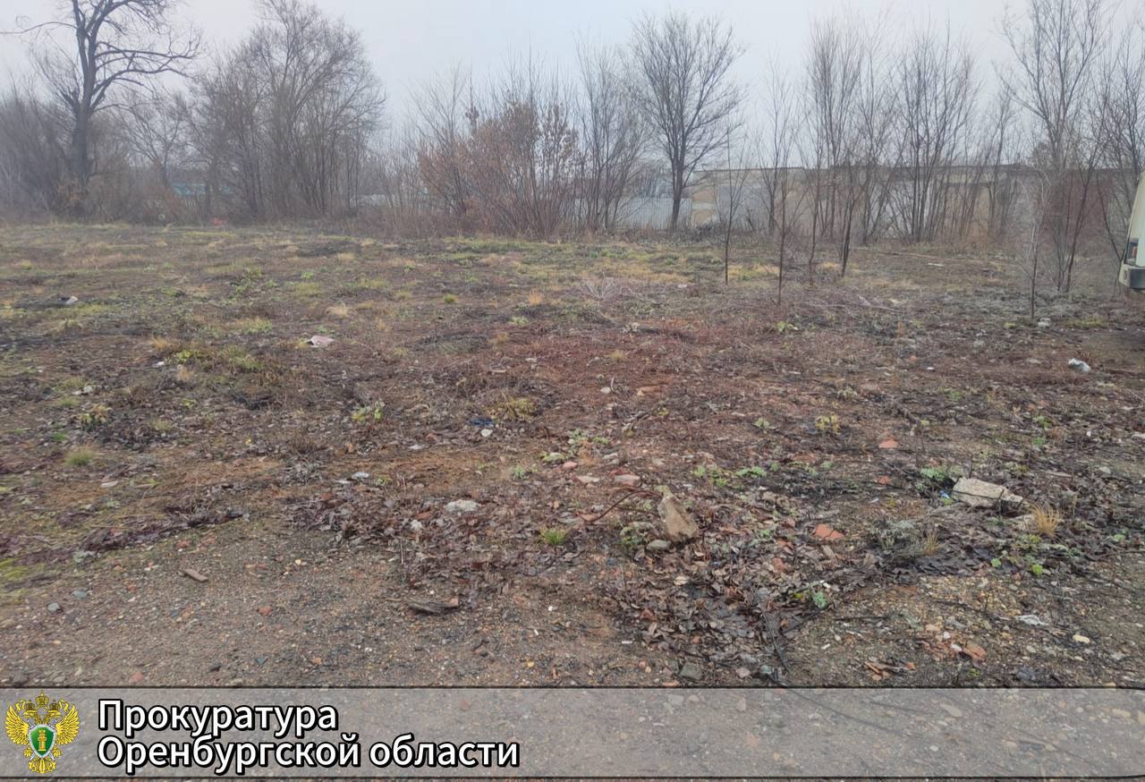 Земли. Фото прокуратуры Оренбургской области 