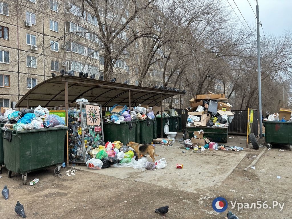 Помойка у дома на Гагарина, 23 в Оренбурге