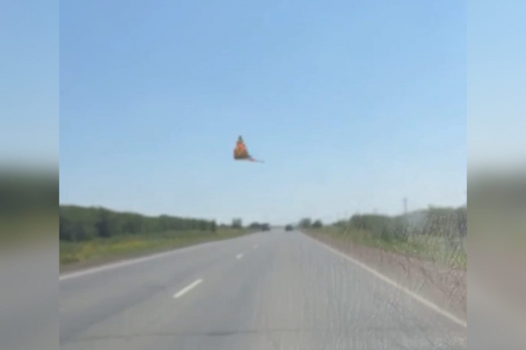 Бабочки «атакуют» автомобили на трассе Оренбург - Орск (видео)