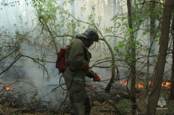 Спустя сутки сильный природный пожар в Абдулинском районе потушен