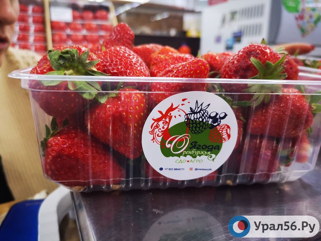 «Ягодный патриотизм»? Оренбургская клубника дороже турецкой, но покупают ее лучше