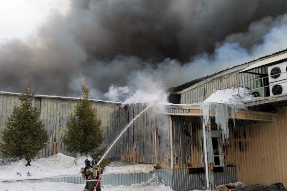 В Новотроицке на мясокомбинате произошел пожар (видео)