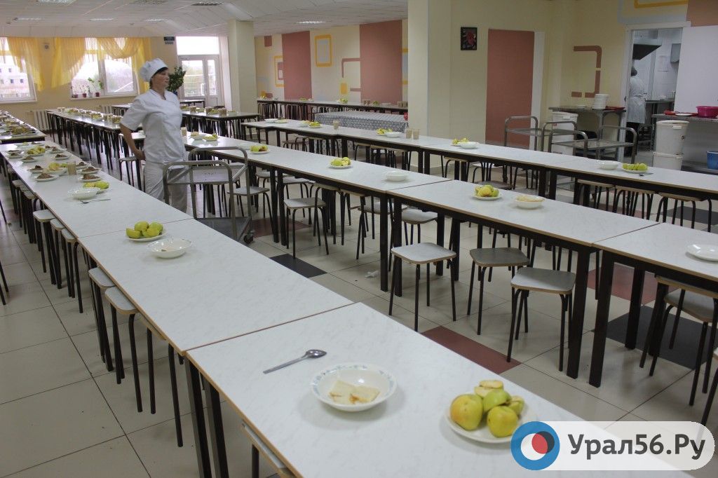 Устраивает ли вас питание в детсадах, школах и больницах Оренбургской области?