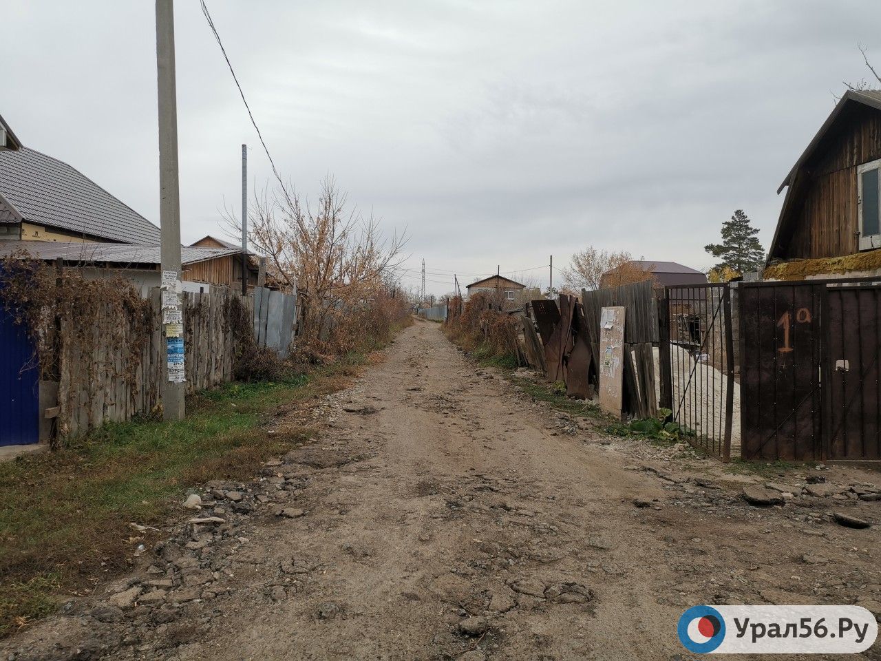 Улица в одном из СНТ в Оренбурге