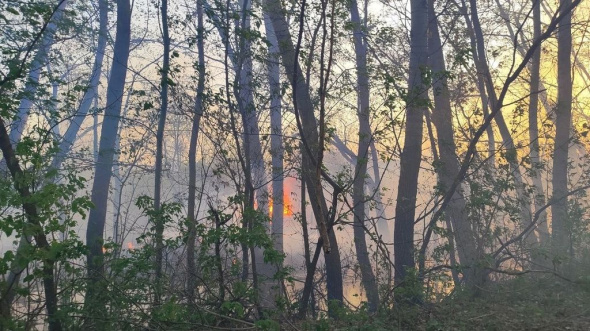 В Бузулуке горят дачи: эвакуированы 30 человек, огнем уничтожено более 10 участков