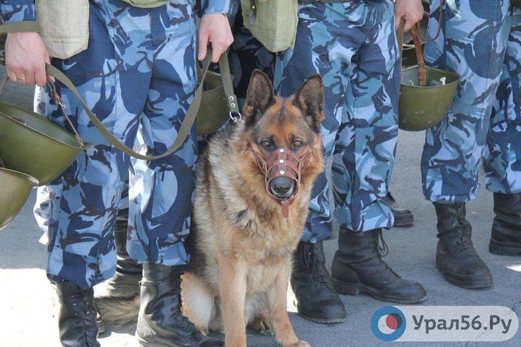 В Оренбурге прошли командно-штабные учения