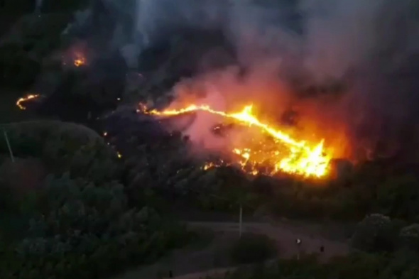 В Оренбурге возбудили уголовное дело о поджоге леса в районе Красной площади