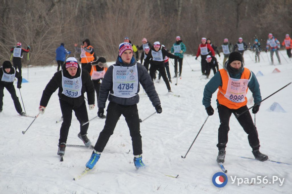 Всероссийская массовая лыжная гонка «Лыжня России» в Оренбургской области пройдет 10 февраля