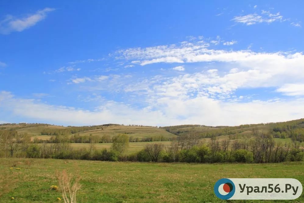 Какая погода ждет жителей Оренбургской области? На этой неделе будет жарко, но возможны дожди