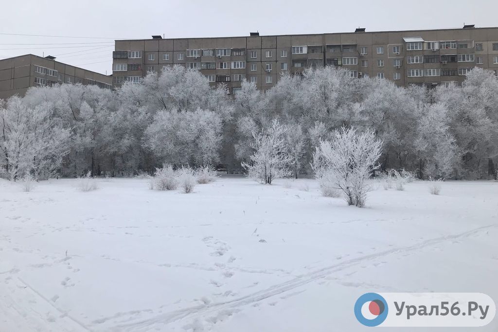 Снежные деревья в Орске