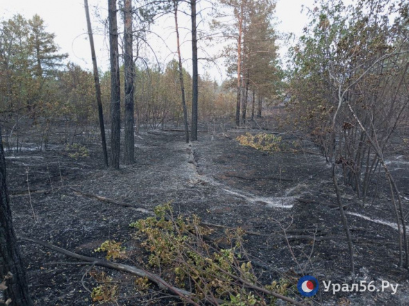 Как выглядит Качкарский Мар после пожара. Фотофакт Урал56.Ру