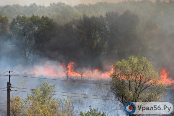 Пригород Оренбурга и Соль-Илецк подвержены угрозе лесных пожаров 