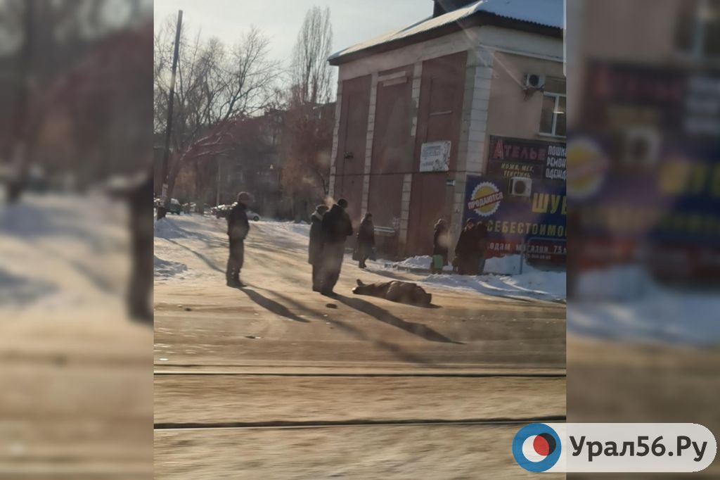 Фото с места происшествия