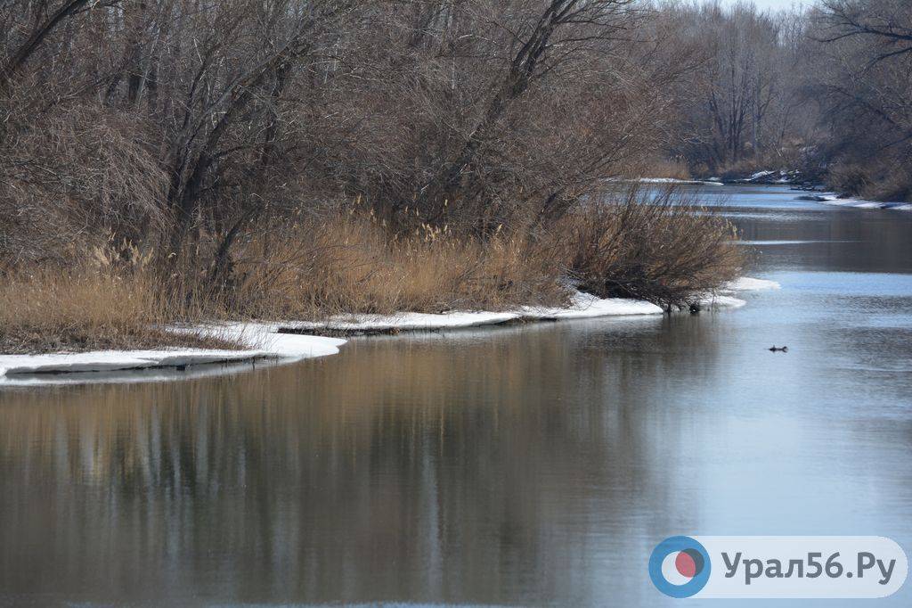 Река Урал в районе объездной дороги в Орске, 27.03.2019