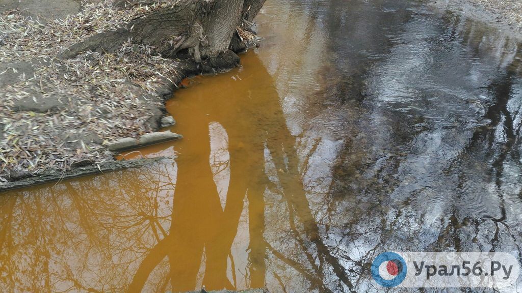 Изменение цвета воды в реке Елшанка. Орск, 2017 год