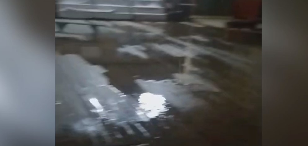 Скрин из видео