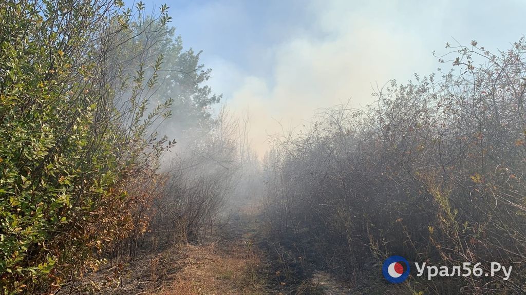 Пожар на территории Орска, 20.09.2022
