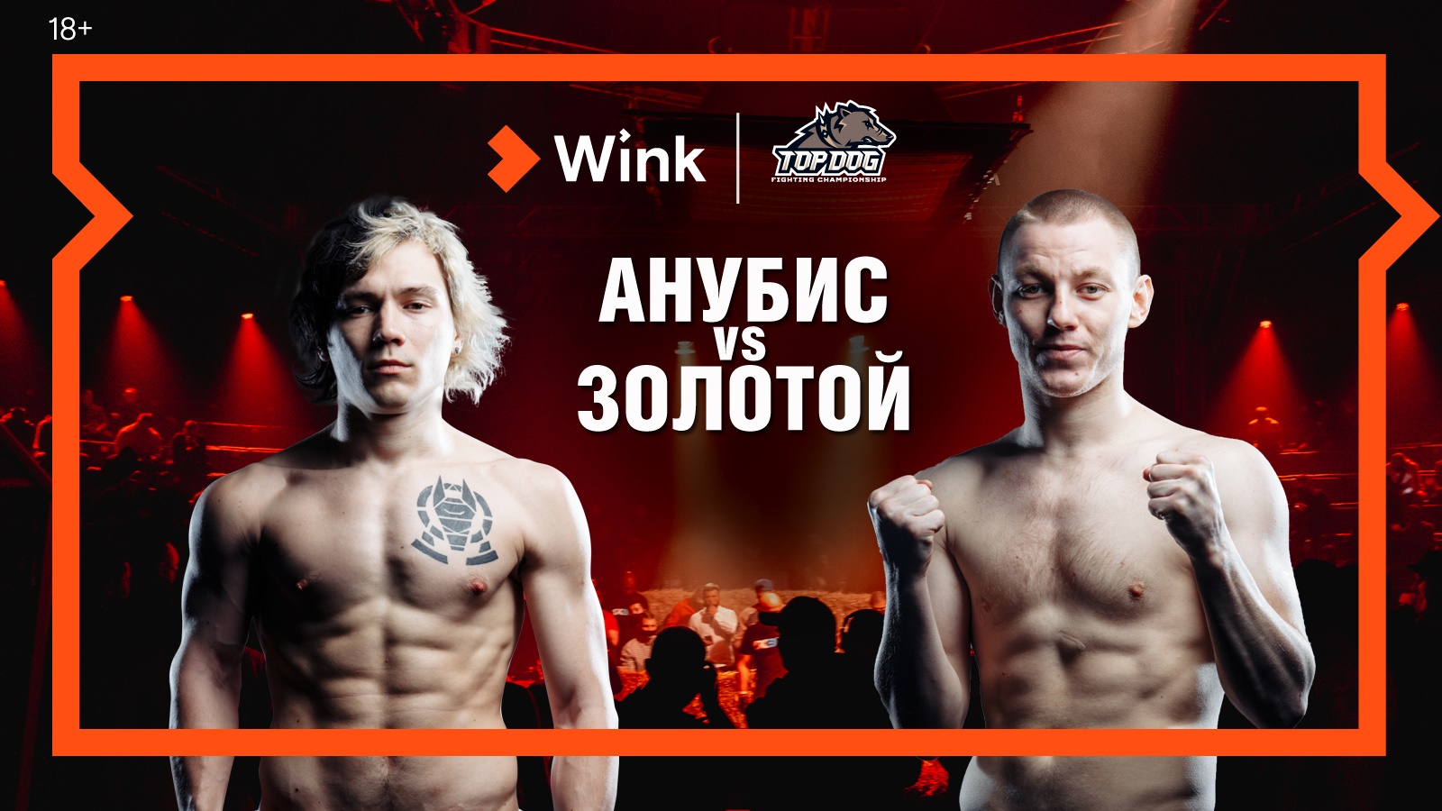 16 апреля в Wink впервые в прямом эфире кулачные бои TOP DOG