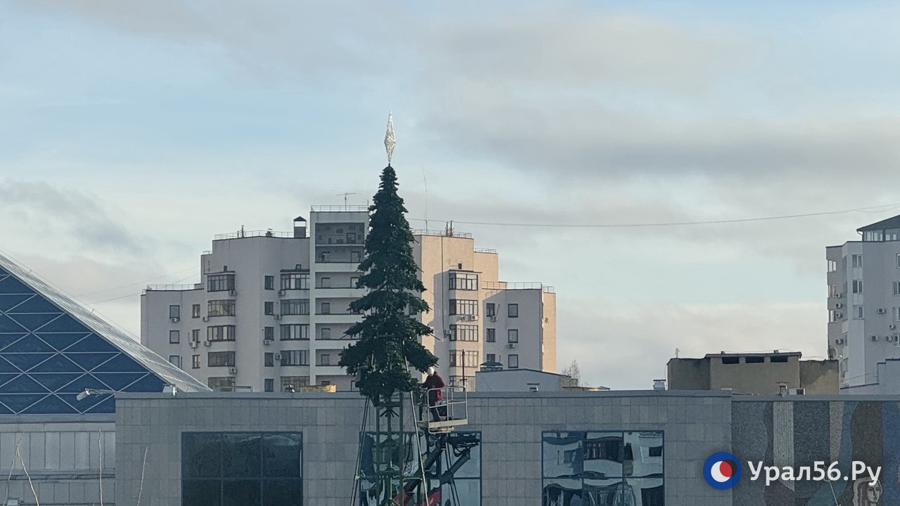 В Оренбурге начали устанавливать елку