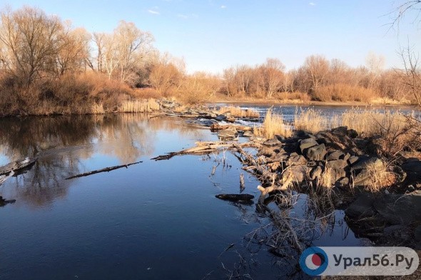 Уровень воды в реке Урал в Оренбургской области продолжает падать
