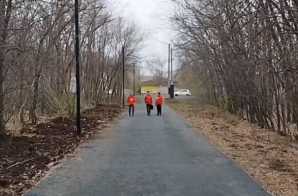 Эксперты в парке «Березка» в Оренбурге. Источник: Стоп-кадр из видео ОНФ